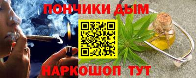 прущие крисы Кингисепп