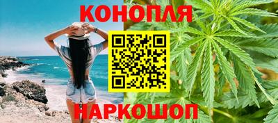 прущие крисы Кингисепп
