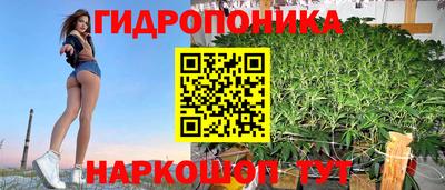 ГАЛЛЮЦИНОГЕННЫЕ ГРИБЫ Кимры