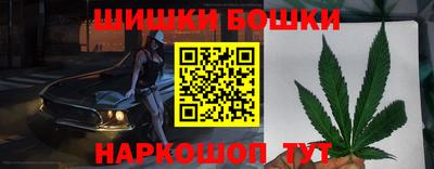 прущие крисы Кингисепп
