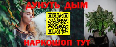 прущие крисы Кингисепп