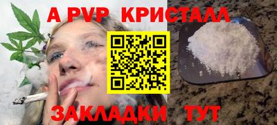 прущие крисы Кингисепп