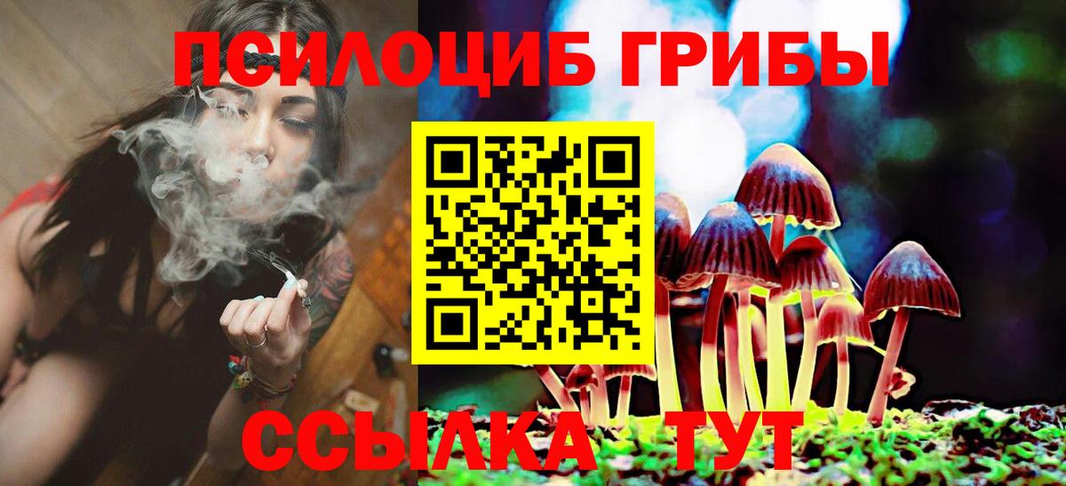 Галлюциногенные грибы прущие грибы  Галлюциногенные грибы MAGIC MUSHROOMS  Коркино  Вход с VPN 